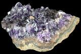 Sparkling Amethyst Crystal Cluster - Uruguay #43165-1
